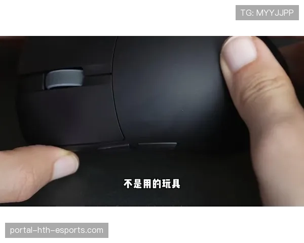 [选手名]教你选外设：选鼠标前一定要看自己的握姿（453 ）
